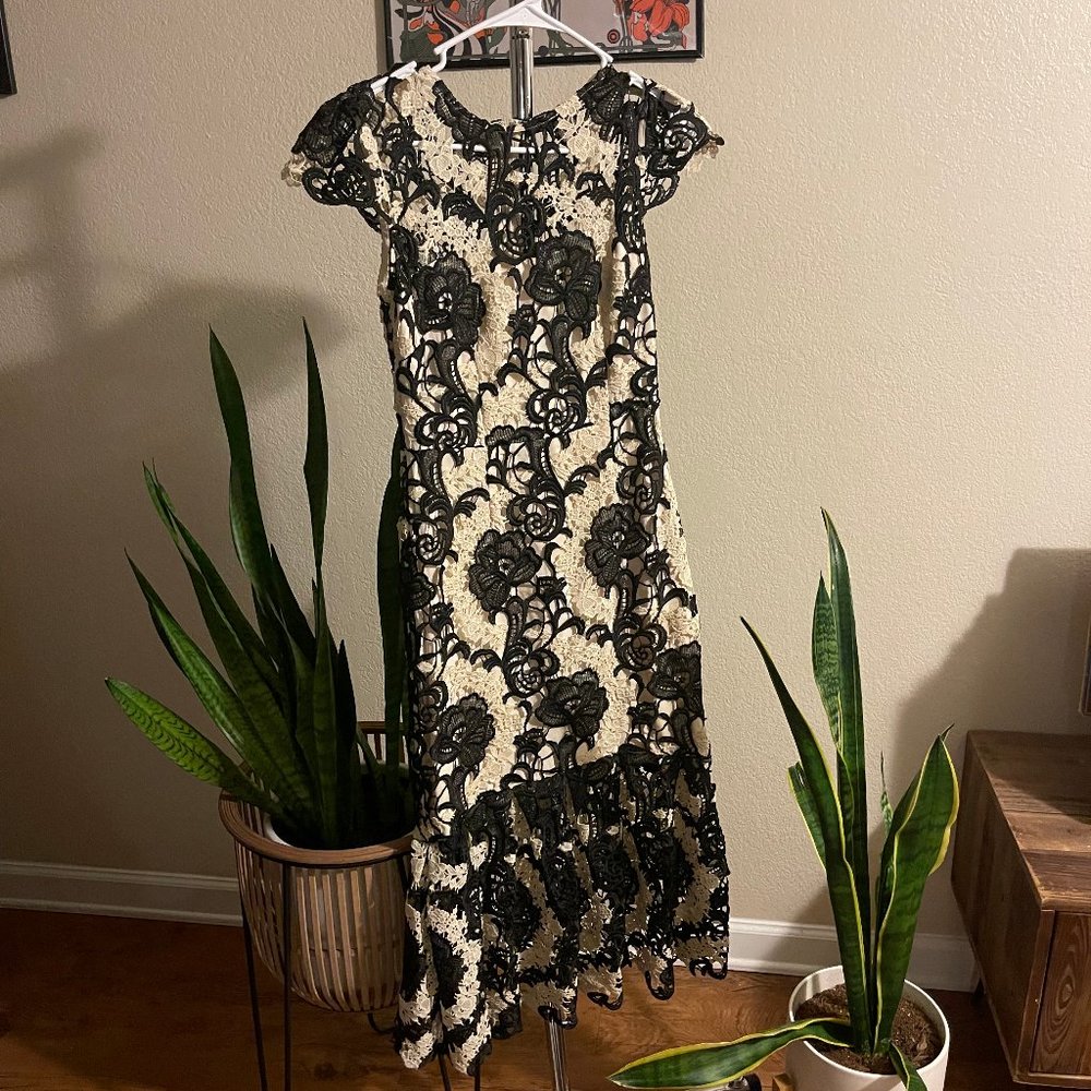 Antonio Melani Black & White lace evening gown dress